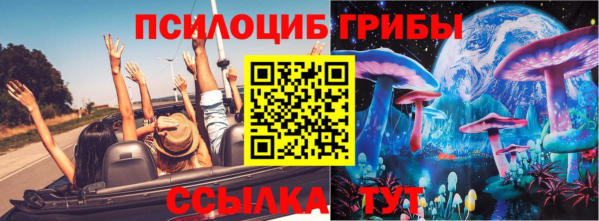 Нижнеудинск  Псилоцибиновые грибы MAGIC MUSHROOMS  Вход с VPN  Галлюциногенные грибы Psilocybe 